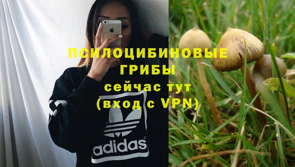 PSILOCYBIN Карпинск