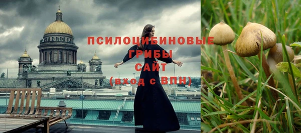 хмурый Карталы