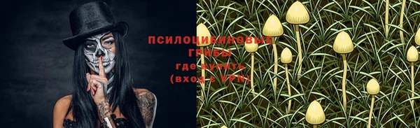 хмурый Карталы