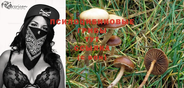 PSILOCYBIN Карпинск